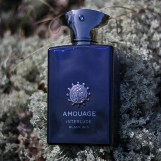 Men Floral Perfume Collection Long Lasting Eau De Parfum Spicy Woody Floral Notes for Romantic Evenings Daily Wear Confidence